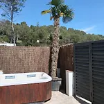 Masia